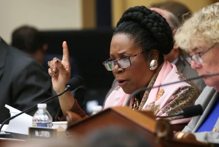 U.S. Rep. Sheila Jackson Lee speaks at a House Judiciary Committee meeting. It was unclear what the Houston Democrat did to spur the arrest, though she said, “I engaged in civil disobedience.”